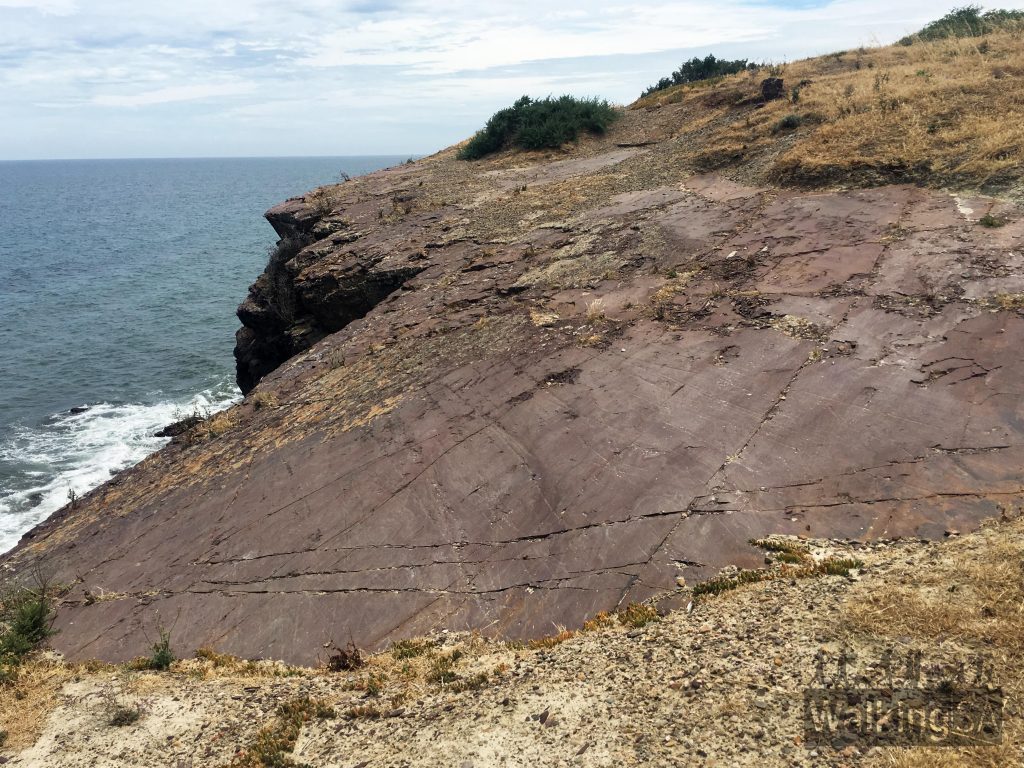 Glacial pavement on the clifftop — scrape marks from boulders carried by glaciers 270 million years ago