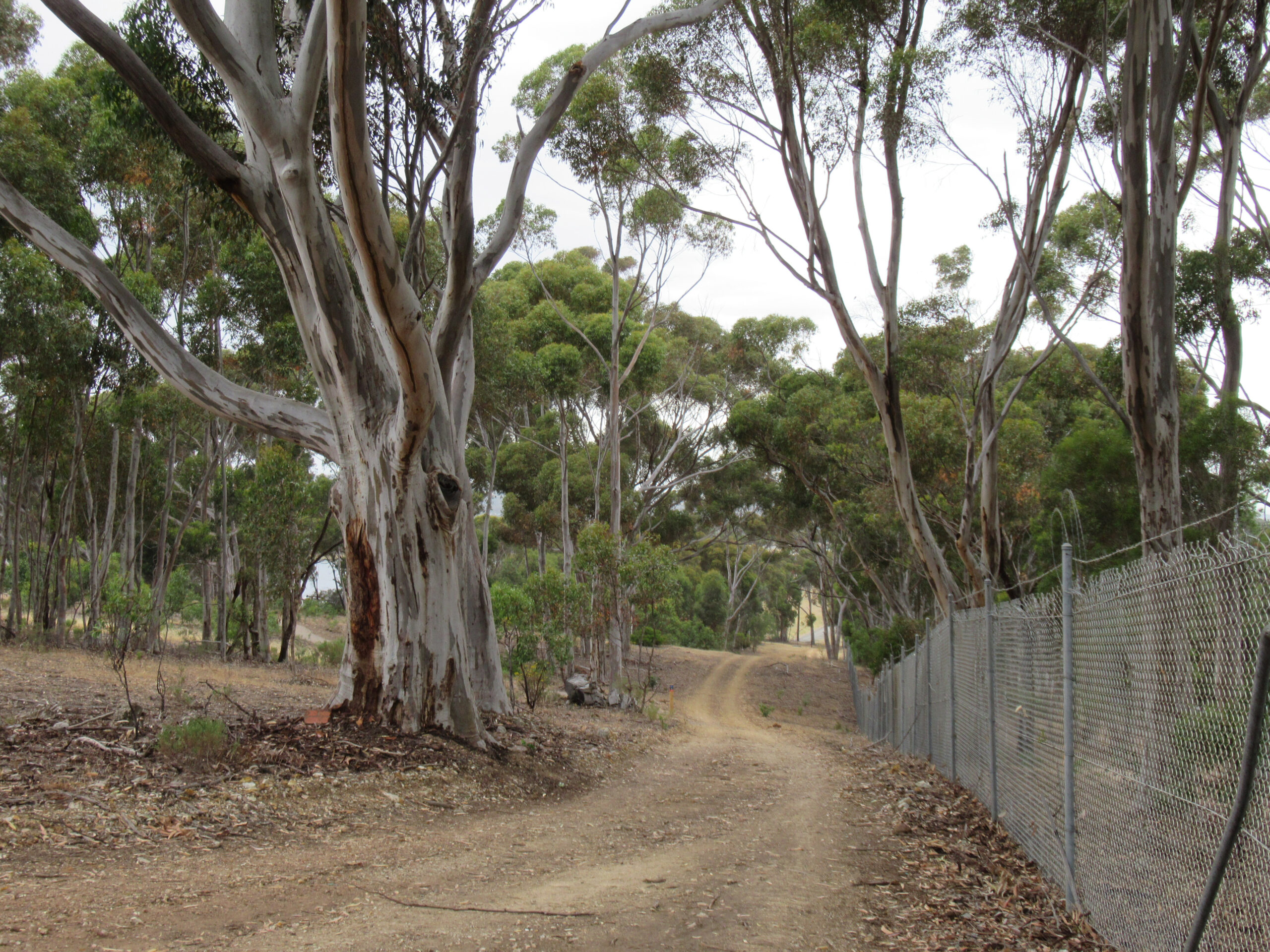 Boundary Loop following the fence line north of the dam wall along Chandlers Hill Road