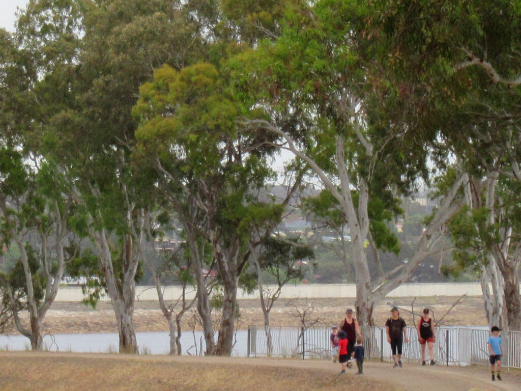 The reservoir from the shore path — a working water supply since the 1890s
