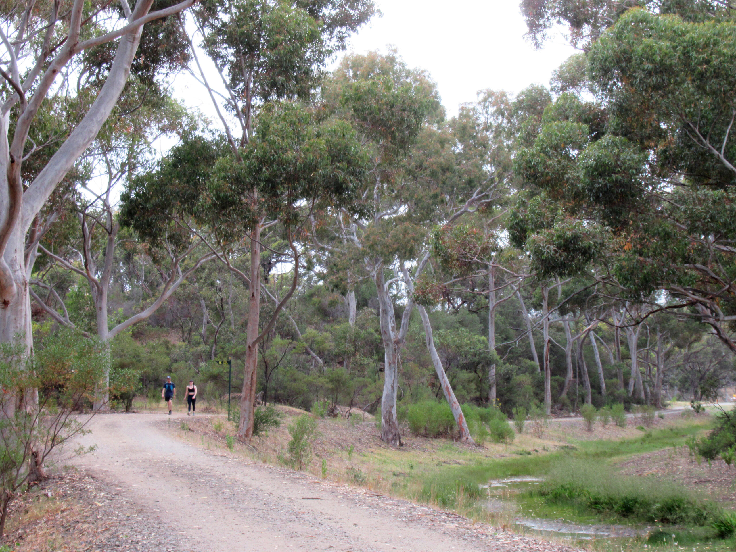 Trail shared between the Southern and Woodland loops